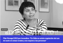 Pilar Moraga (CR2) por incendios: «En Chile no existe regulación del uso de suelo en zonas rurales y eso expone a las personas» (El Desconcierto)