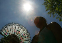 Olas de calor intensifican el riesgo de incendios forestales: Proyecciones críticas para el cierre del verano (EMOL)