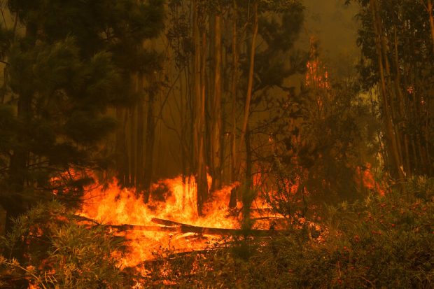 Incendio-forestal-en-la-R.-del-Biobio-620x413