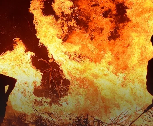 Experta internacional advierte: Chile enfrenta una amenaza de incendios forestales «incluso mayor que California» (El Ciudadano)