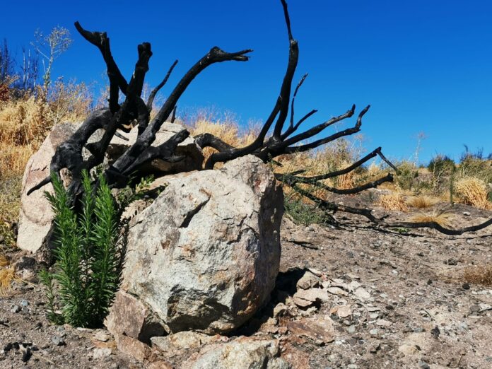 c7182e5a-91b4-44b0-b3be-c48402d77697