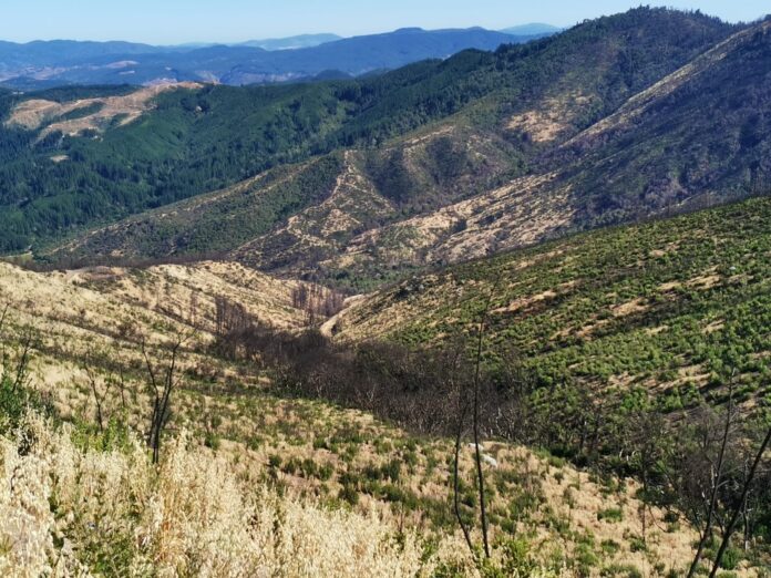 f5ac8c7a-33d4-426d-900a-1a0f11edd14e