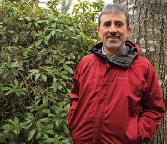 Desde Los Ríos: Analizan cómo prevenir los incendios catastróficos que desafían a Chile (Soy Valdivia)