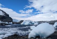 Cuando la ciencia se centraliza, el país se achica (Diario UACH)