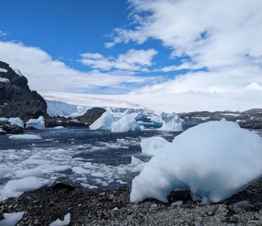 Cuando la ciencia se centraliza, el país se achica (Diario UACH)