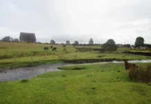 Monte Verde: Cuando la ciencia se vuelve trinchera