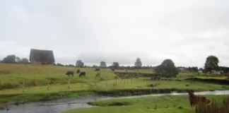 Monte Verde: Cuando la ciencia se vuelve trinchera