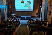 Lanzan plataforma que permite evaluar los efectos del diseño urbano sobre el clima en las ciudades