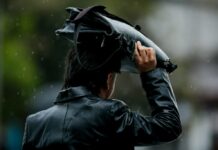 El Niño se confirma en Chile: expertos advierten más lluvias pero no más agua disponible (Agricultura)