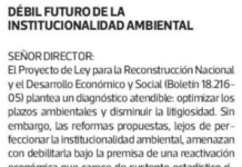Opinión: Débil futuro de la institucionalidad ambiental (La Tercera)