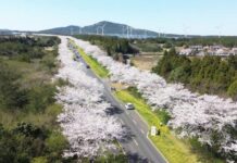Día Mundial del Medio Ambiente: La inacción climática podría costar 250.000 vidas y un 4% del PIB global cada año hasta 2050 (Portal Agrícola)