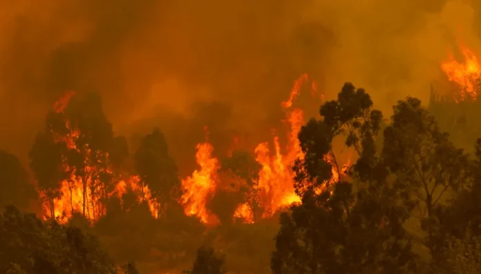 crisis-climatica