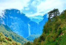 Desde la Patagonia al mundo: el magíster que forma a los nuevos líderes climáticos de América Latina (El mostrador)