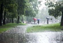 La Araucanía bajo alerta por llegada de El Niño: experto advierte que más lluvia no significa fin de la sequía (Araucanía Noticias)