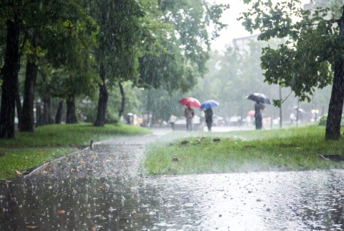 la-araucania-bajo-alerta-por-llegada-de-el-nino-experto-advierte-que-mas-lluvia-no-significa-fin-de-la-sequia