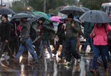 Experto explica cómo prepararse para El Niño y por qué no hay que alarmarse: ¿lloverá más en Chile? (Radio Biobío Chile)