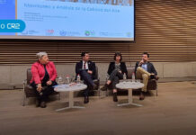 Especialistas nacionales e internacionales analizaron los desafíos de la contaminación atmosférica en la región
