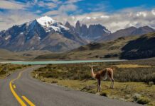 Hitos y Desafíos: Edición 200 de InduAmbiente (Induambiente)