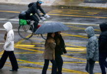 El Niño se hará fuerte: «Las lluvias van a ser más intensas o van a durar más» (LUN)
