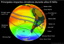 El Niño: tormentas, olas de frío y efectos en especies marinas ya se sienten en Chile, Perú, Argentina y Ecuador (Mongabay)